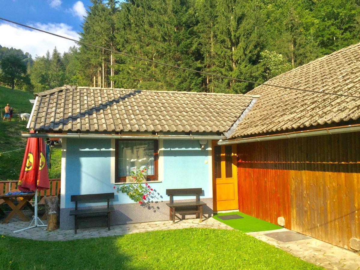 Apartment Tisa Solčava Kültér fotó